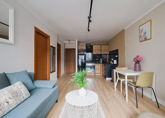 Privilage Location Apartament W Centrum
